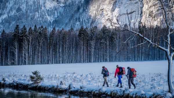Three men walking in to the woods in winter